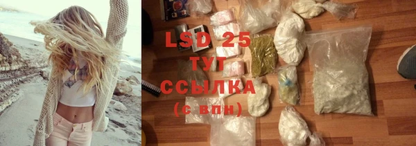 стаф Белокуриха