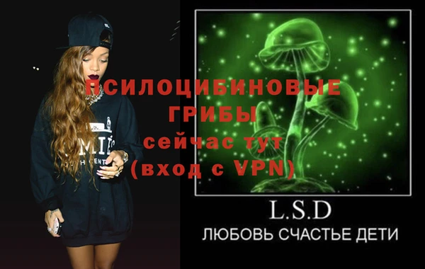 стаф Белокуриха