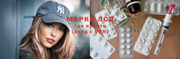 стаф Белокуриха