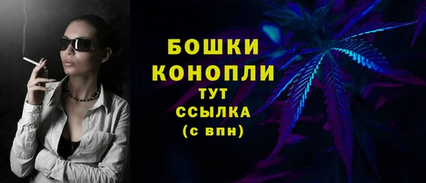 стаф Белокуриха