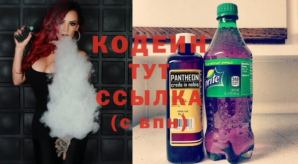 мет Инта