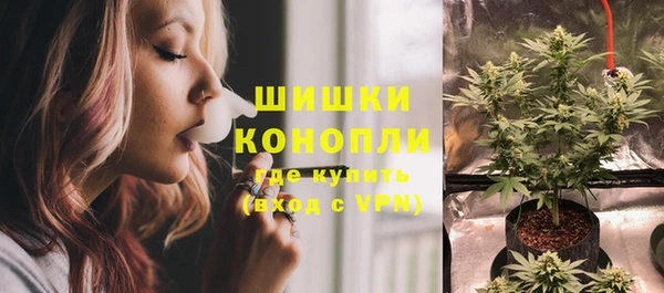 стаф Белокуриха