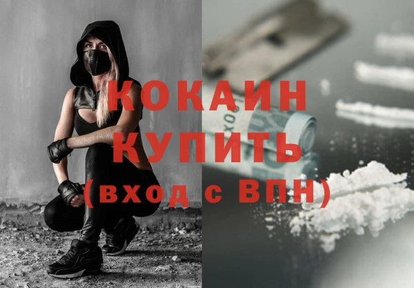 гидра Каменногорск