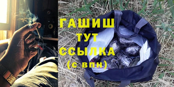 стаф Белокуриха