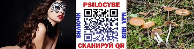 Галлюциногенные грибы прущие грибы  сайты даркнета Telegram  Волосово  где можно купить наркотик 